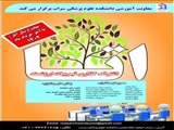 جشنواره اتا