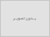 صفحه اصلی